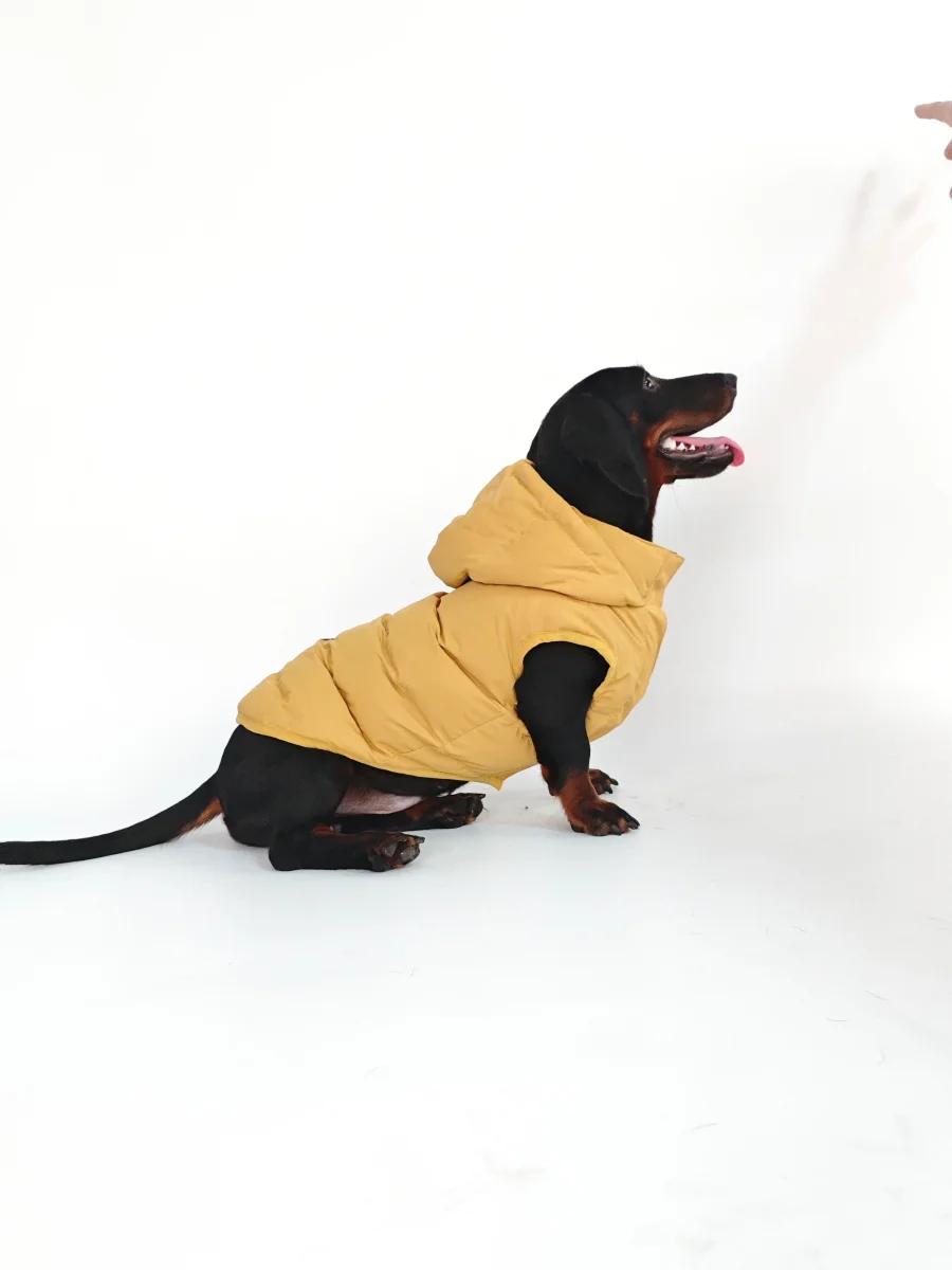 Caldo smanicato con cappuccio - mod.Casius - ecosostenibile - immagine 7