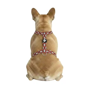 Pettorina ad H - La Casa di Carta