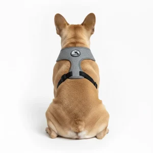 Pettorina grigia - mod. Sampei - grigia o rosa