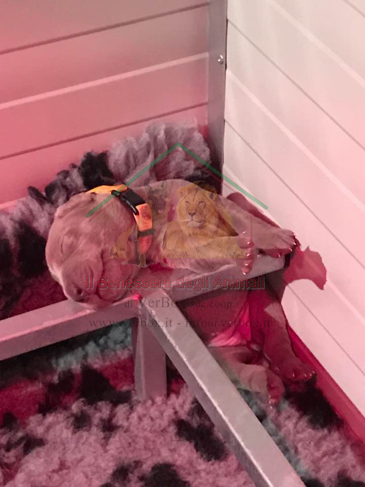 Cassa parto con fronte totalmente estraibile (3pz) - immagine 6