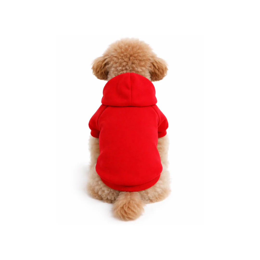 Felpa invernale con cappuccio - immagine 6