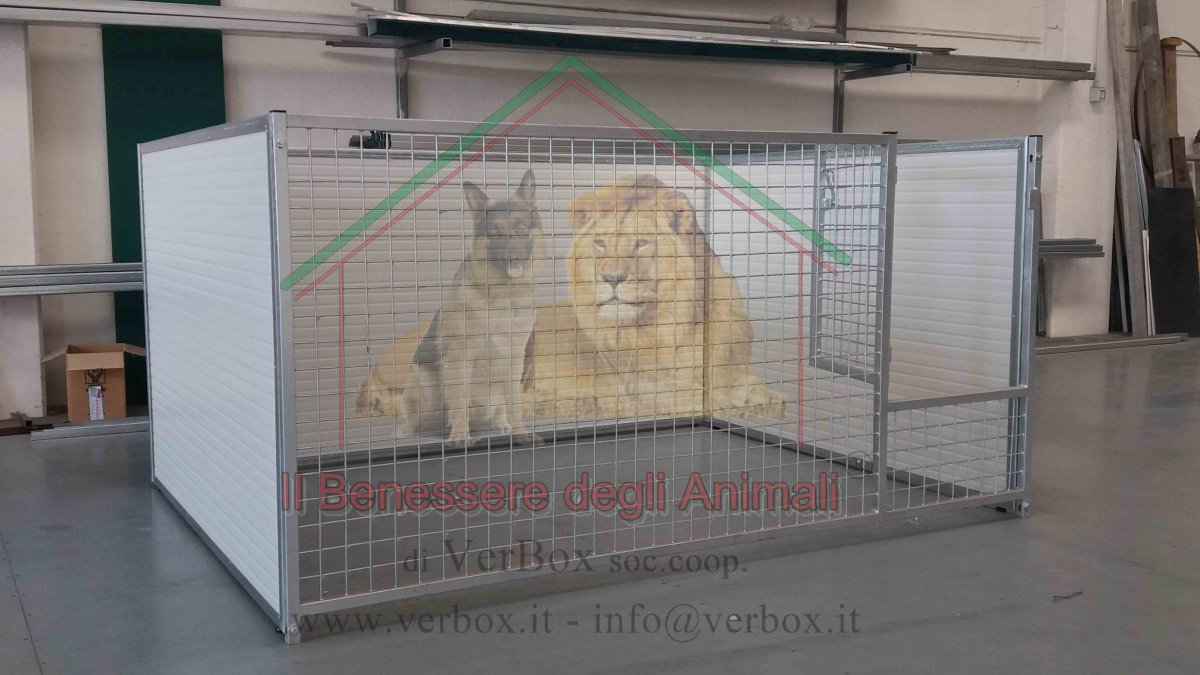 RECINTO CUCCIOLI CON 3 LATI IN COIBENTATO + FRONTE IN RETE 200x150xH100cm - immagine 2