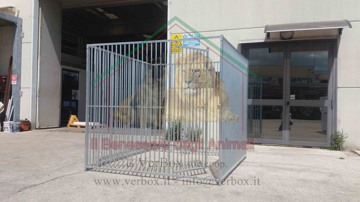 BOX PER CANI H1,84m in rete – varie misure - immagine 3