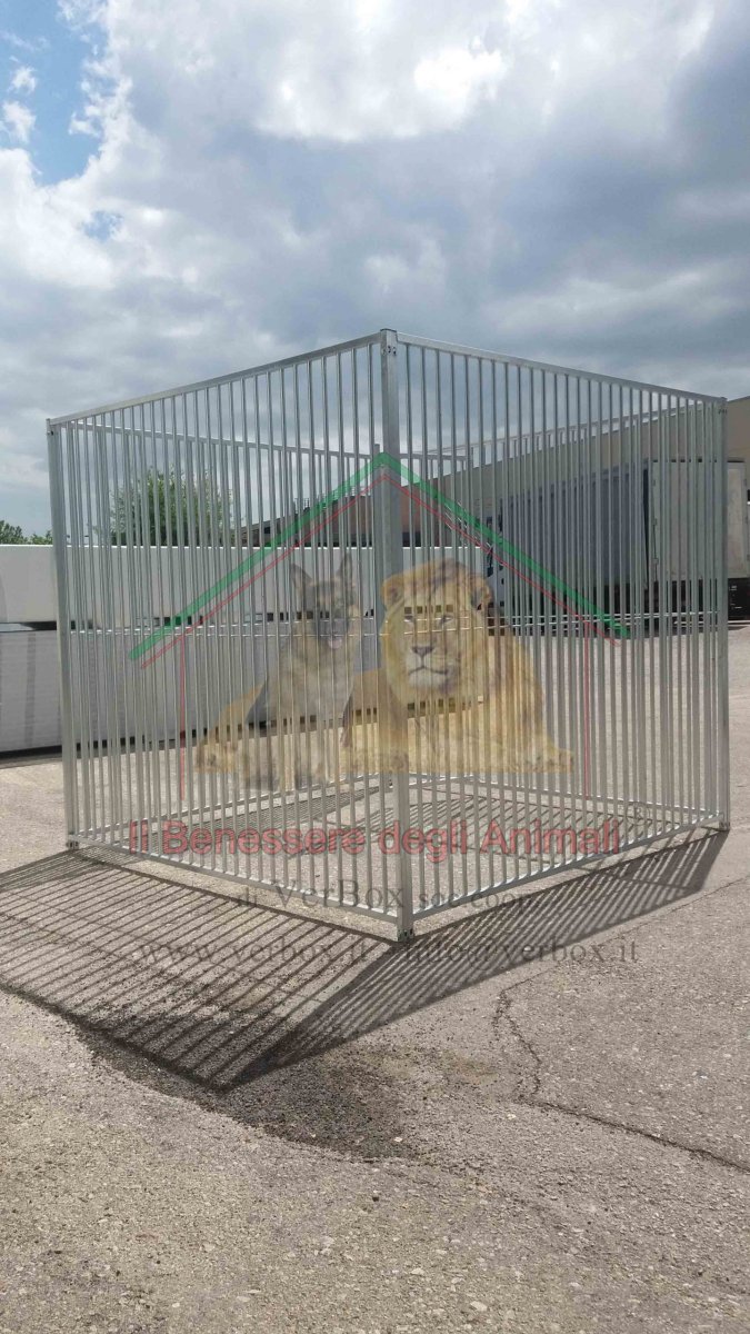 BOX PER CANI 4×2 h1,84 m in rete - immagine 6