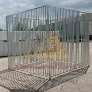 BOX PER CANI 3×2 h1,84 m in rete