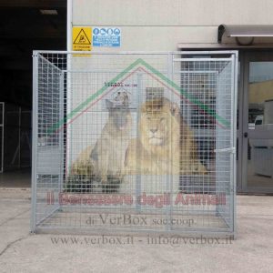 BOX PER CANI 4×2 h1,84 m in rete
