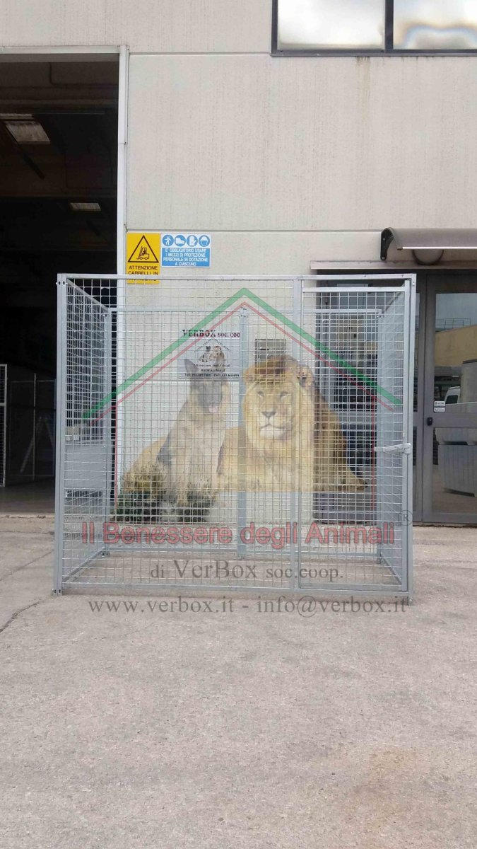 BOX PER CANI H1,84m in rete – varie misure - immagine 5
