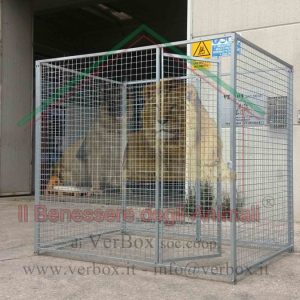 BOX PER CANI H1,84m in rete – varie misure