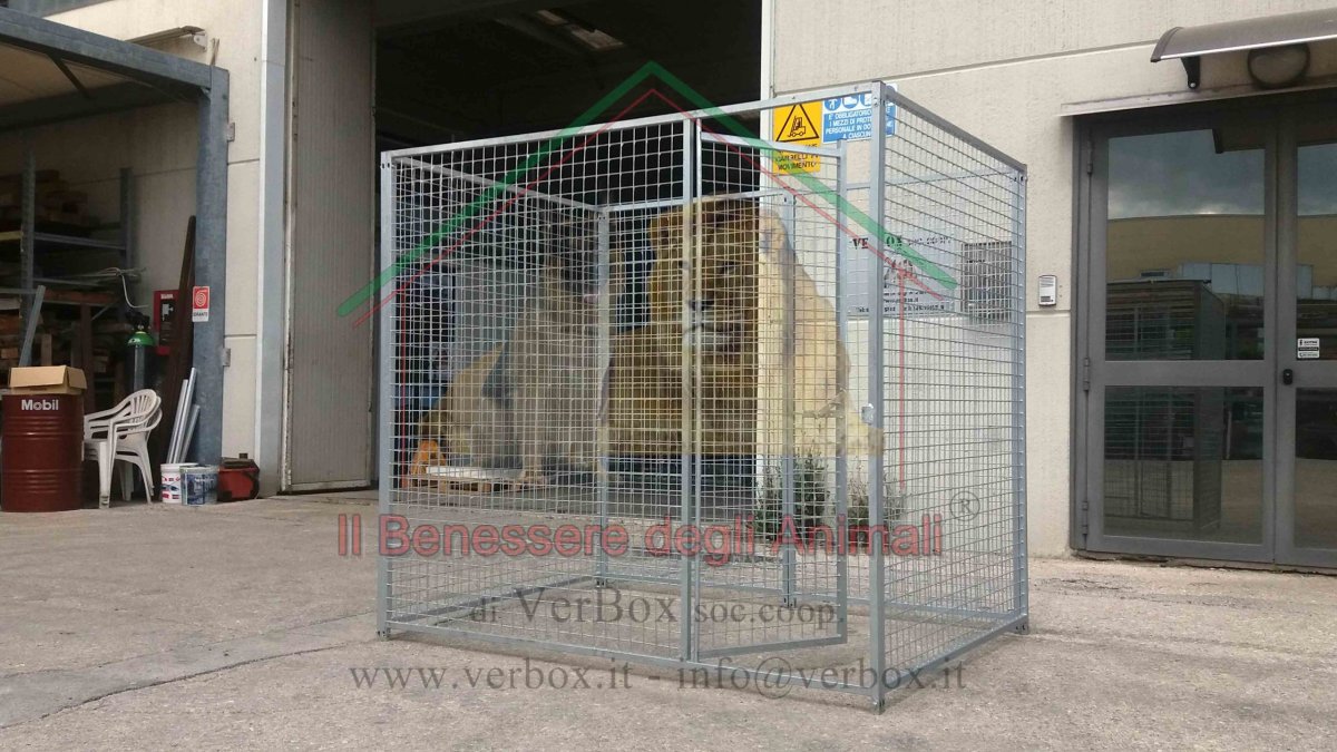 BOX PER CANI H1,84m in rete – varie misure - immagine 2