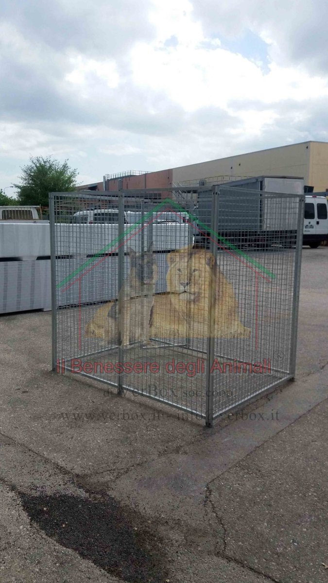 BOX PER CANI 4×2 h1,84 m in rete - immagine 4