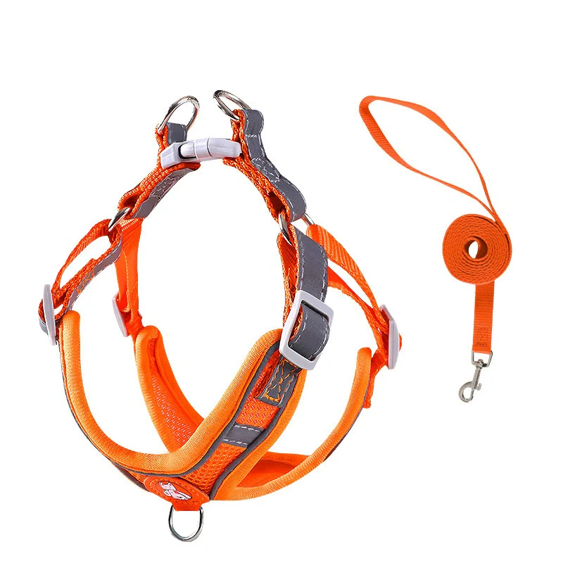 Pettorina Traspirante + Guinzaglio 3 colori per cani da 1 a 35 kg - immagine 4