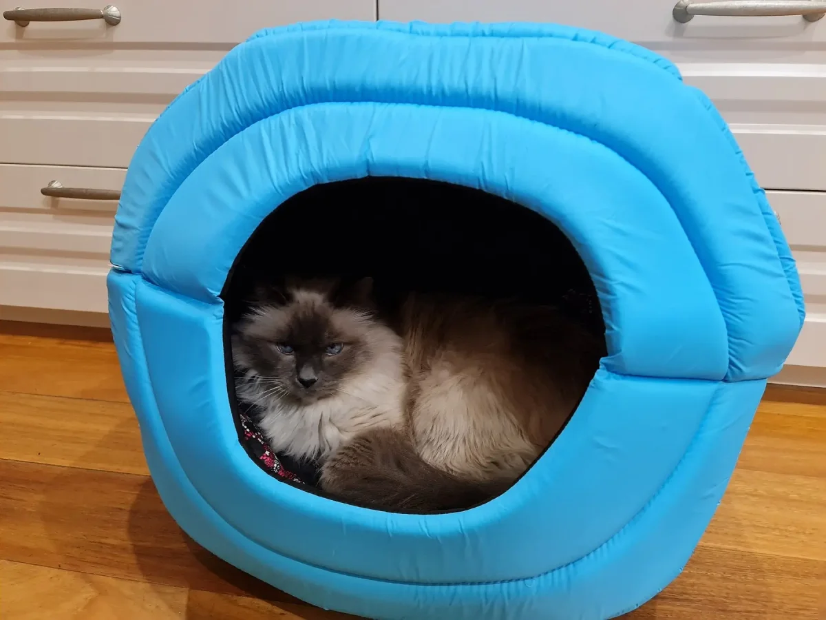 AiryVest Pet House Cuccia Multiuso 2in1 Tg. S Rosa per Cani e Gatti - immagine 5