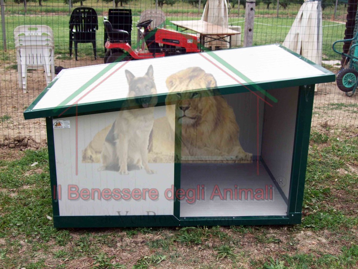 Mini Box in Coibentato con veranda - immagine 3