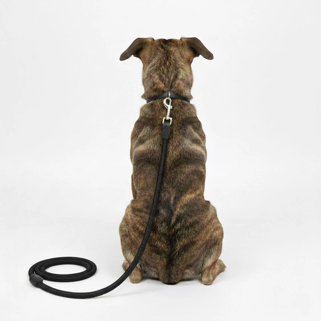 Guinzaglio nero elegante in nylon - 150cm - immagine 2