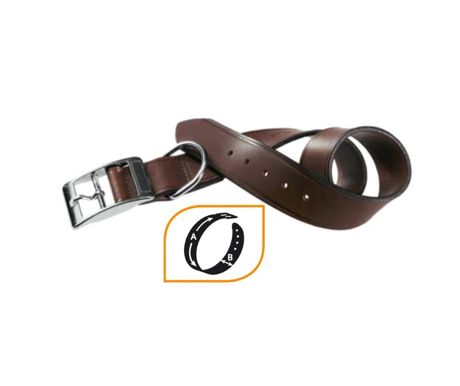 Ferplast VIP C 40/69 Collare Marrone in cuoio per Cani - immagine 2