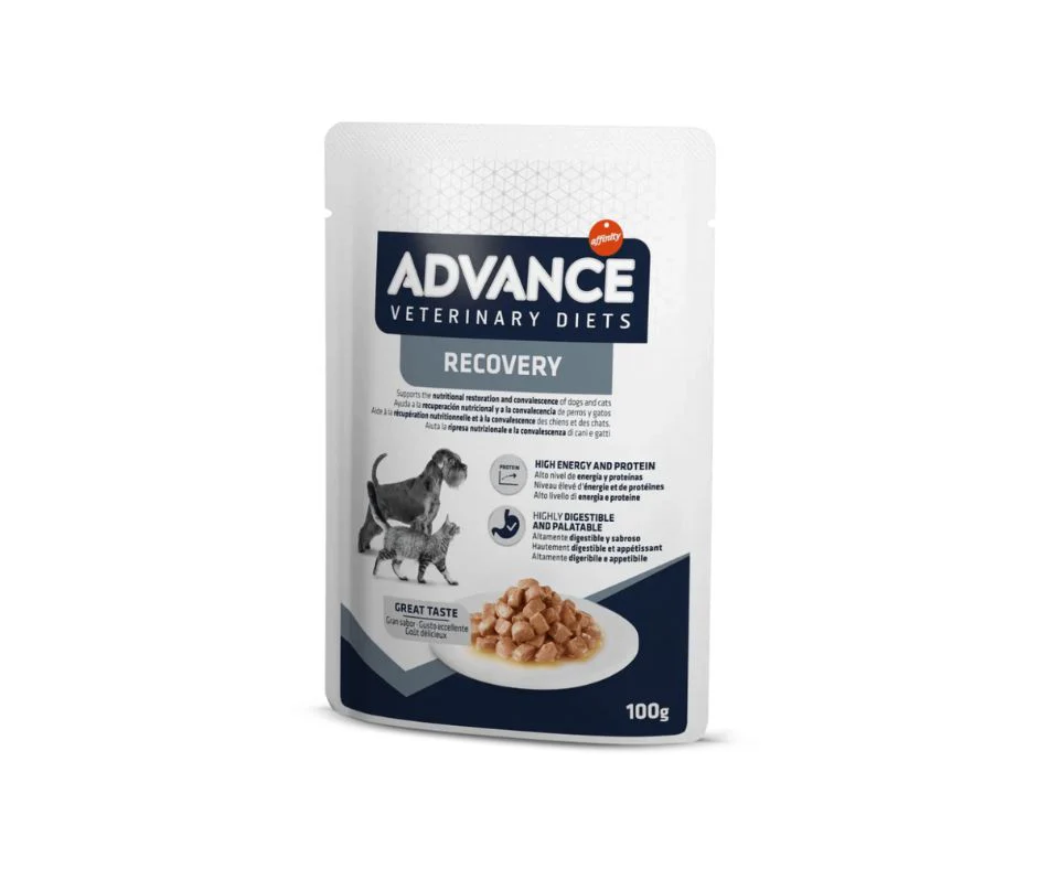 Advance Recovery 100g Bustina Cani e Gatti