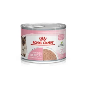 Royal Canin Mother e Babycat Lattina 195g Gattini e Gatte