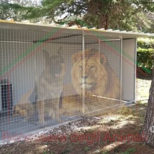 BOX PER CANI L300xP200xH184