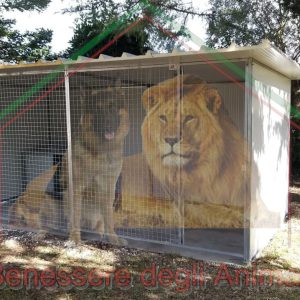 BOX PER CANI L400xP200xH184 con copertura totale