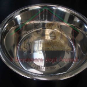 CIOTOLA IN ACCIAIO INOX