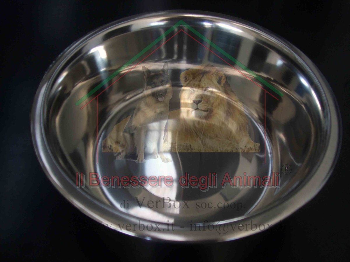 CIOTOLA IN ACCIAIO INOX - immagine 3