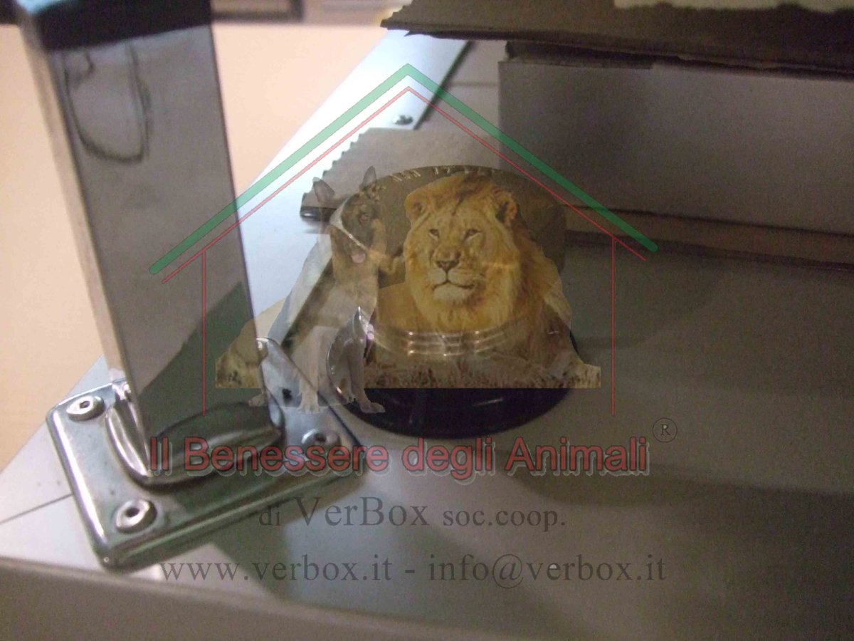 PILETTA DI SCARICO PER CUCCIA - immagine 3