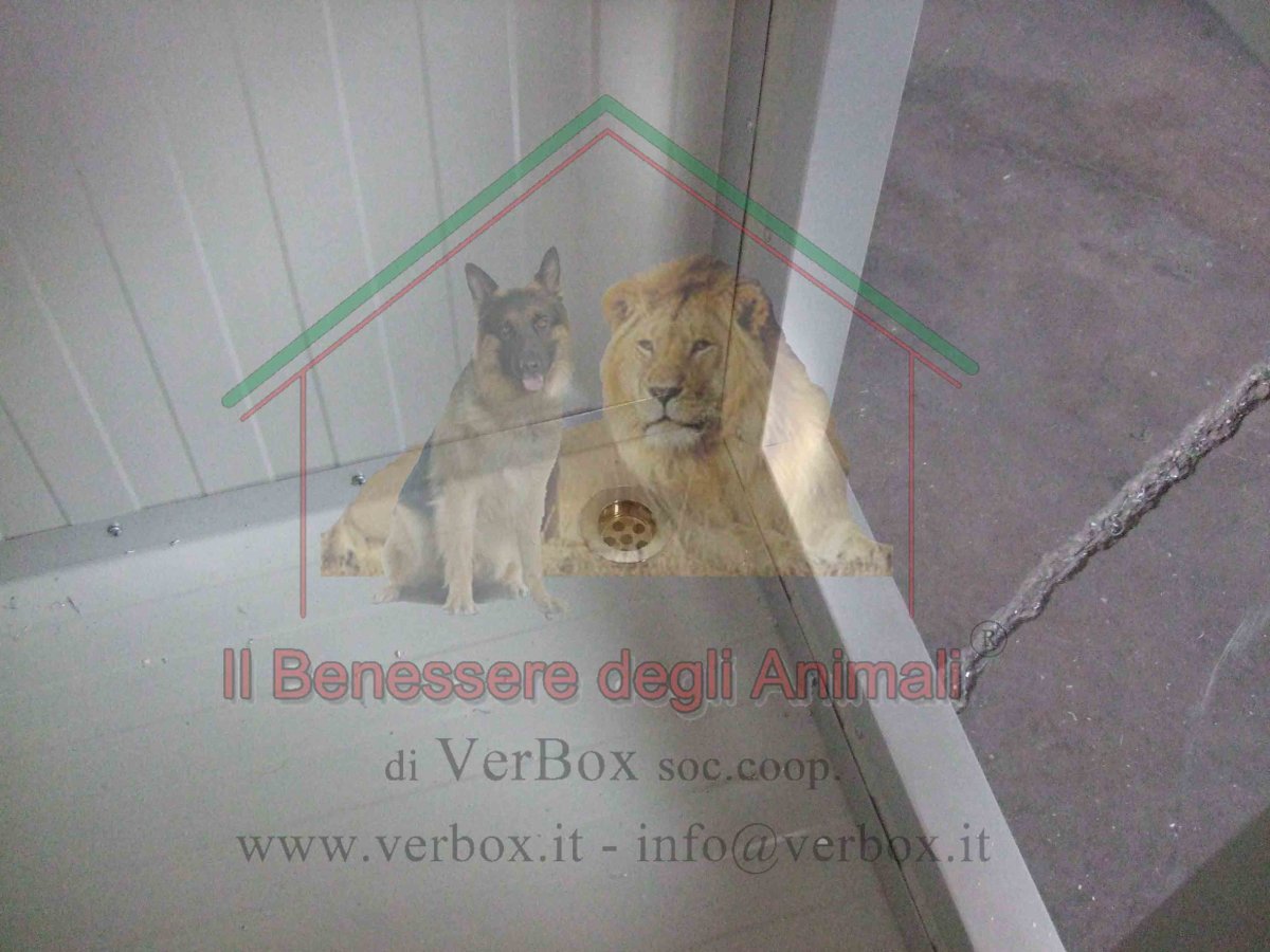 PILETTA DI SCARICO PER CUCCIA - immagine 5