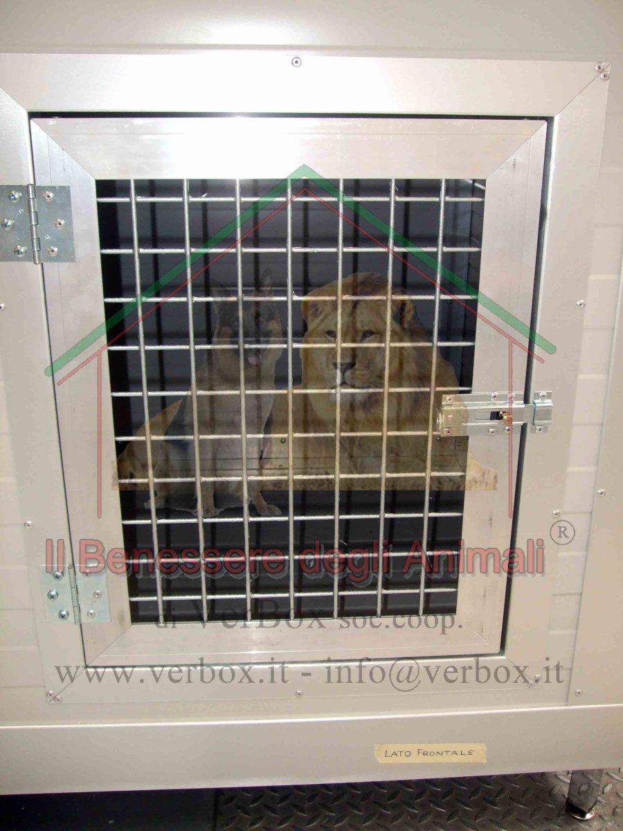 Cancello di chiusura per ingresso cuccia - immagine 4