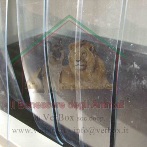 Tendina termica in pvc