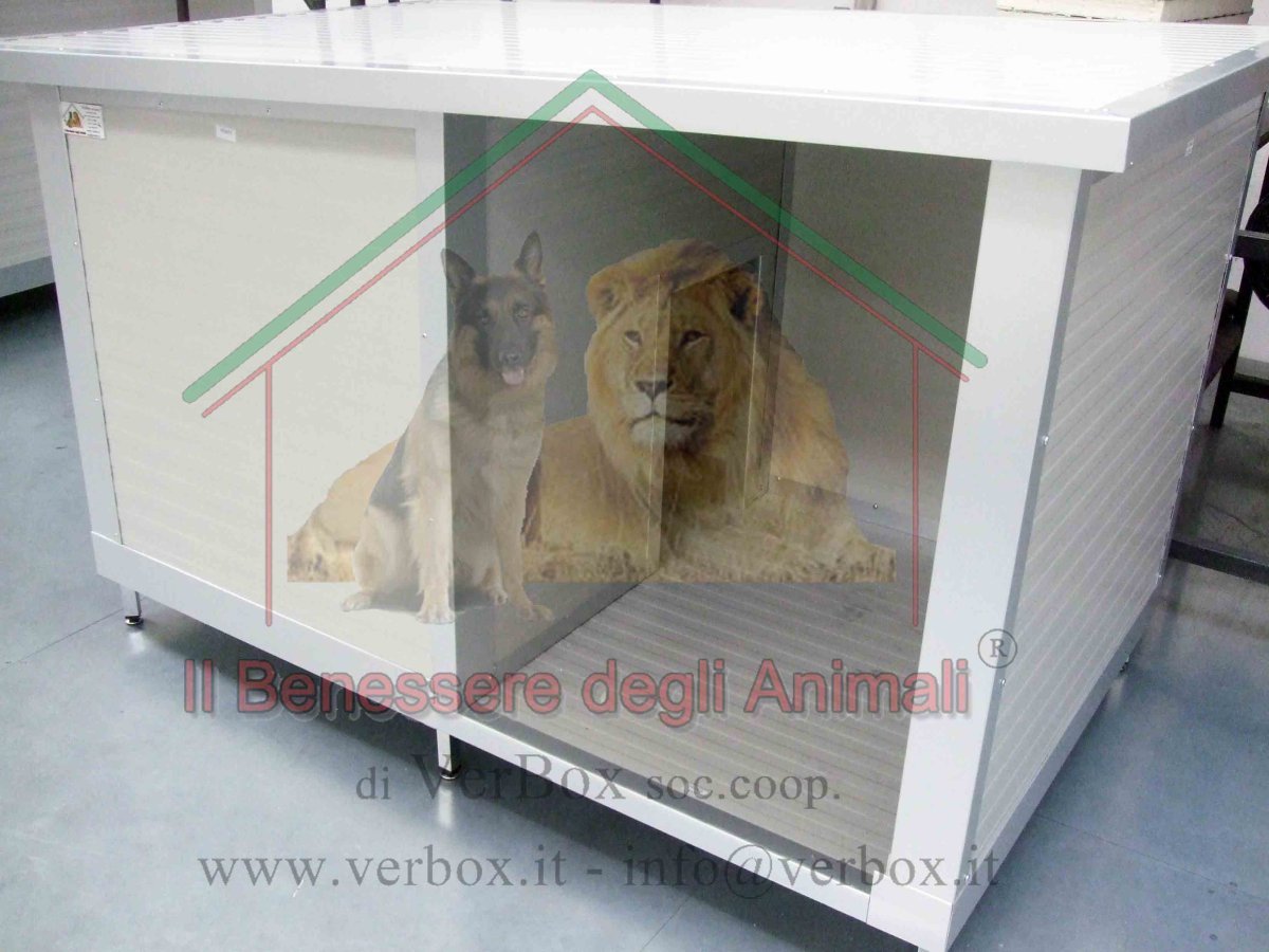 Mini Box in Coibentato con veranda - immagine 8