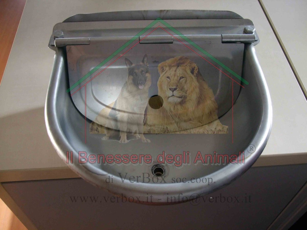 Abbeveratoio automatico - immagine 4