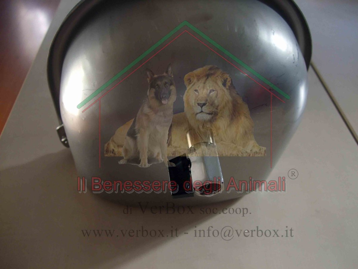 Abbeveratoio automatico - immagine 5