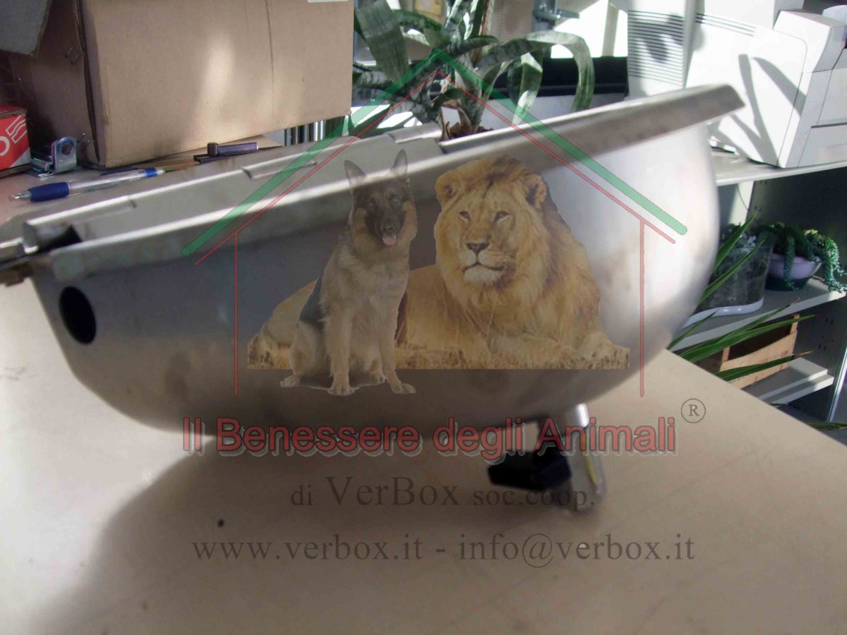 Abbeveratoio automatico - immagine 3