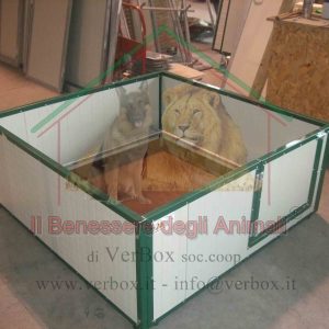 CASSA PARTO CON 1 SPORTELLO D’INGRESSO