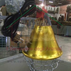 Lampade riscaldanti per cani e animali