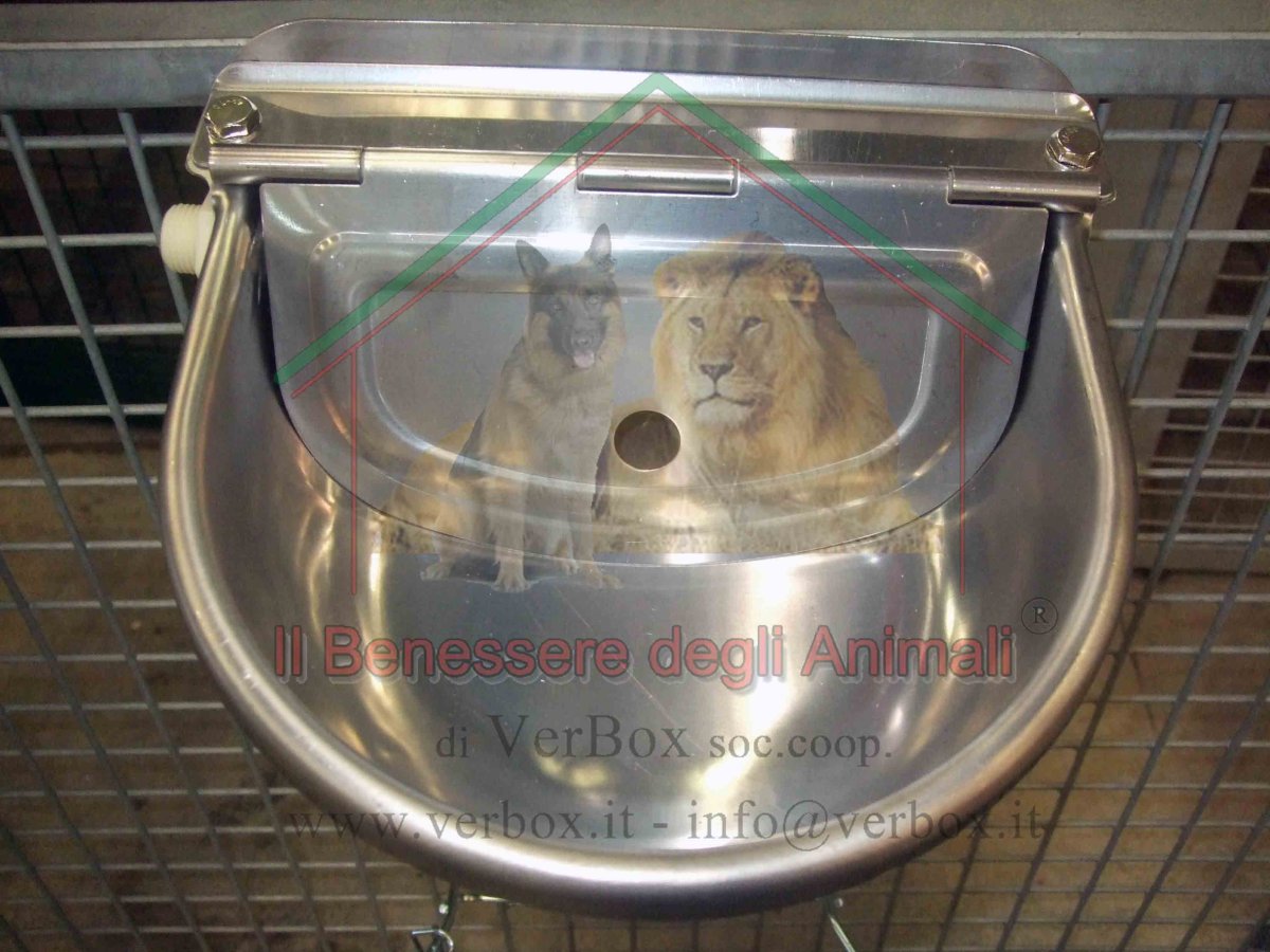Abbeveratoio automatico - immagine 6