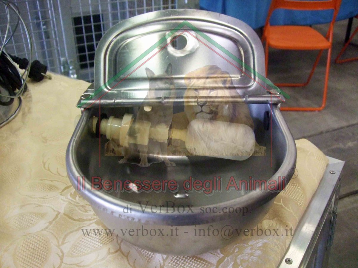 Abbeveratoio automatico - immagine 7