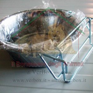 KIT COMPLETO: GANCIO+CIOTOLA