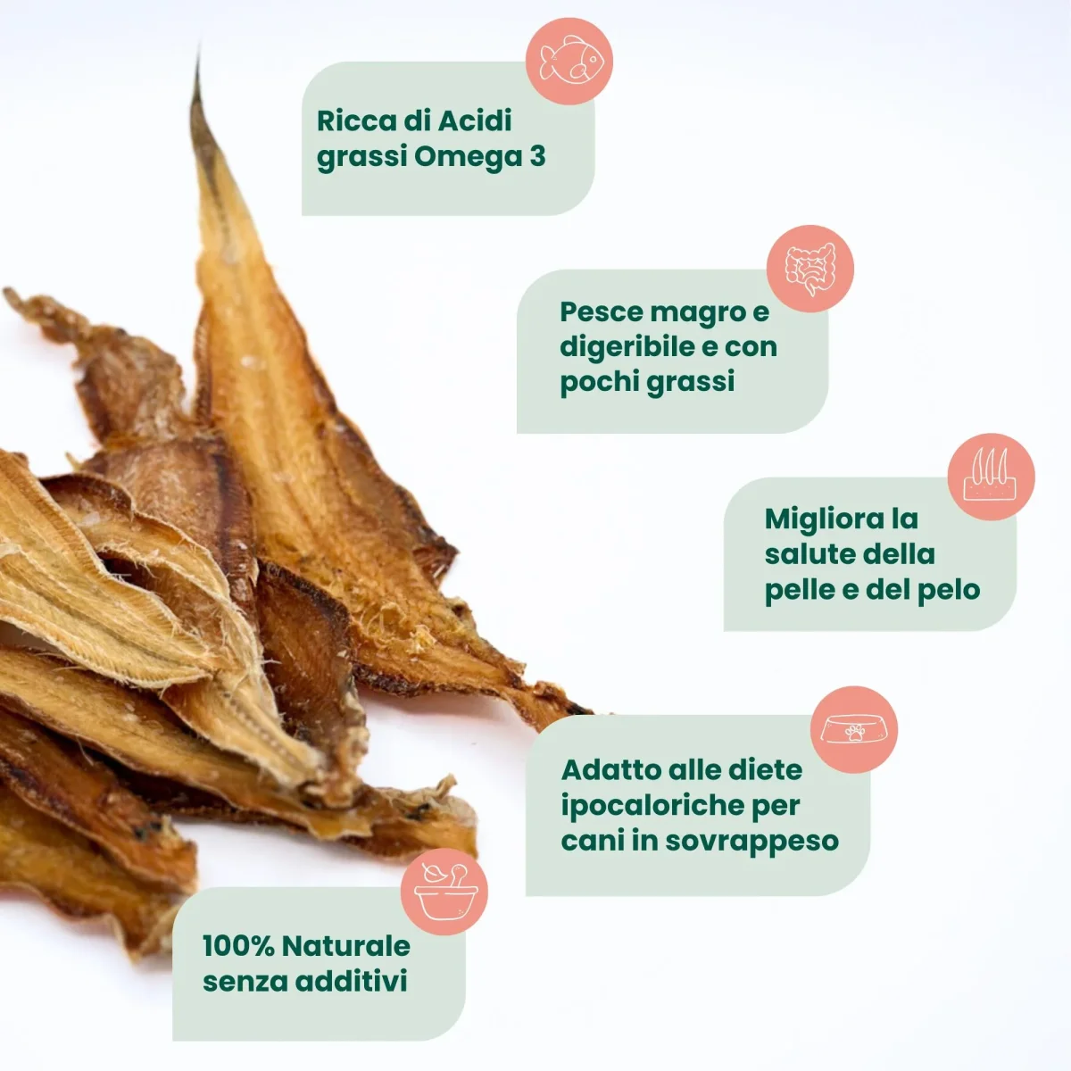 Filetti di Sogliola (100 gr) - immagine 4