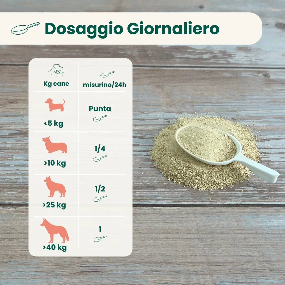 Guscio d'uovo in polvere - immagine 4