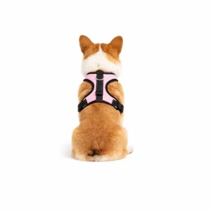 Pettorina rosa - mod.Petit - per cani da 2 a 40kg