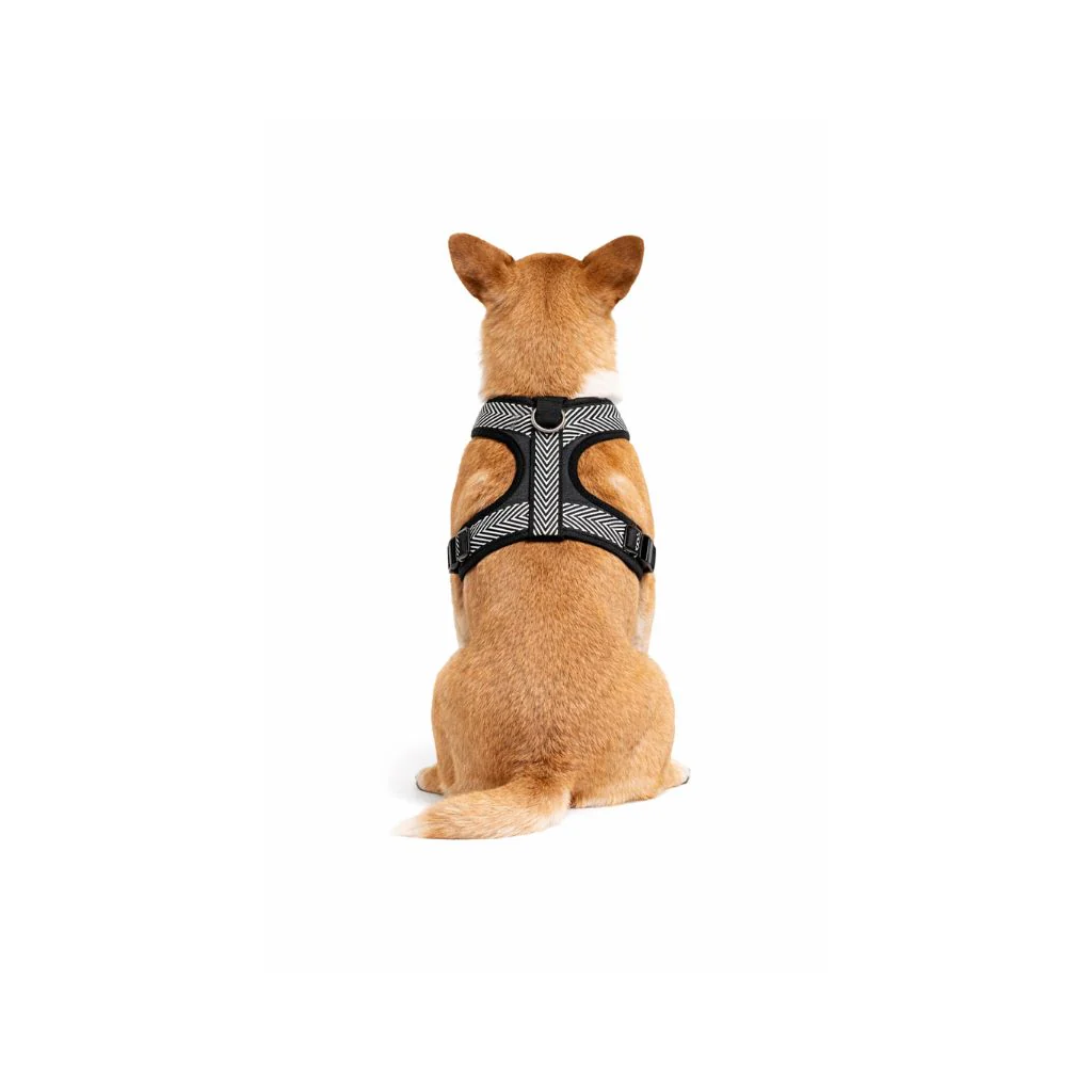 Pettorina bianca e nera - mod. Tiana - immagine 2