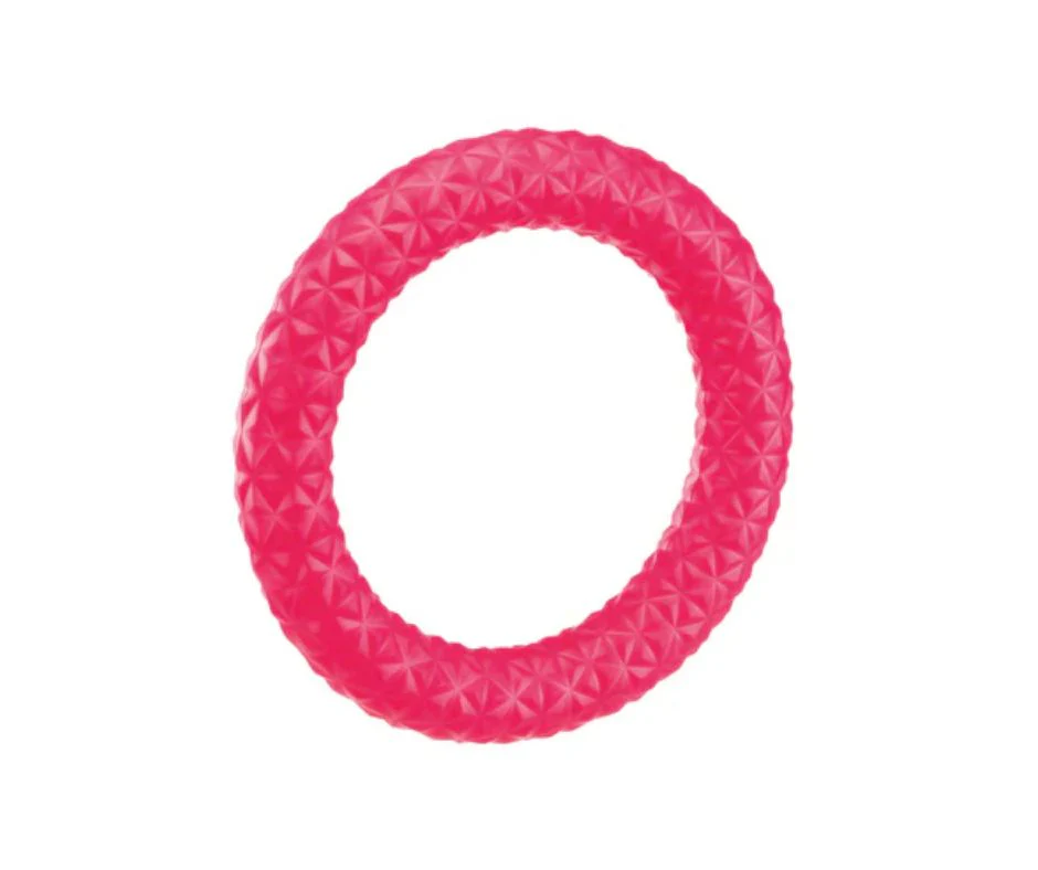 Ferplast Pull Max Anello Rosso Small Ø 17,6cm Gioco per Cani - immagine 2