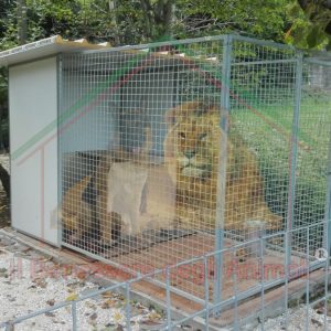 BOX UNICO AMBIENTE L200xP300xH184cm con COPERTURA PARZIALE L250xP150cm