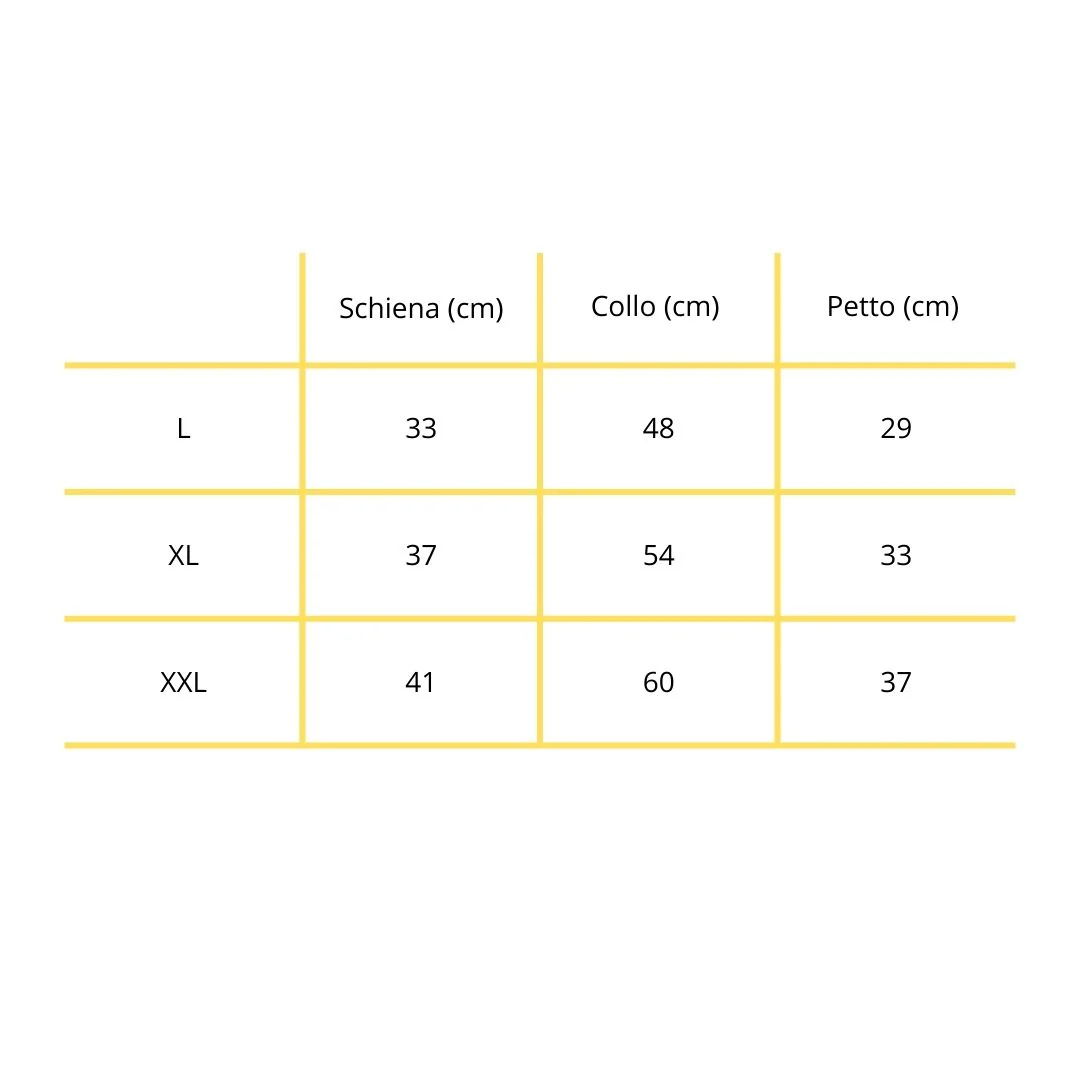 MODELLO LADY - immagine 6