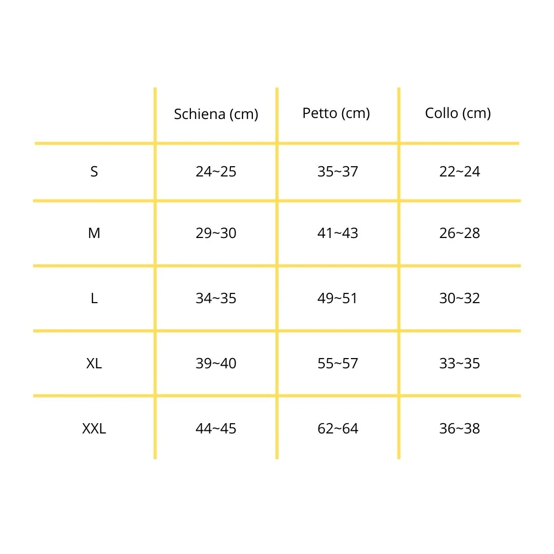 MODELLO HUSKY - immagine 6