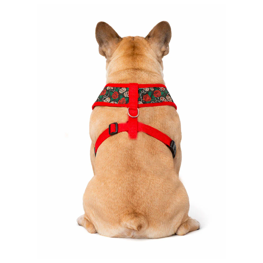 Pettorina Skull and Rose - Urban Pup - immagine 2