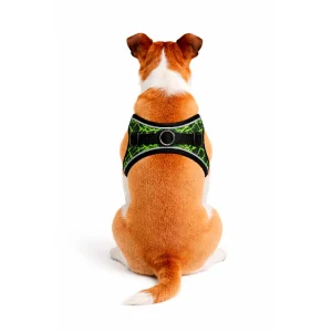 Pettorina verde, viola e grigia - mod. Spark