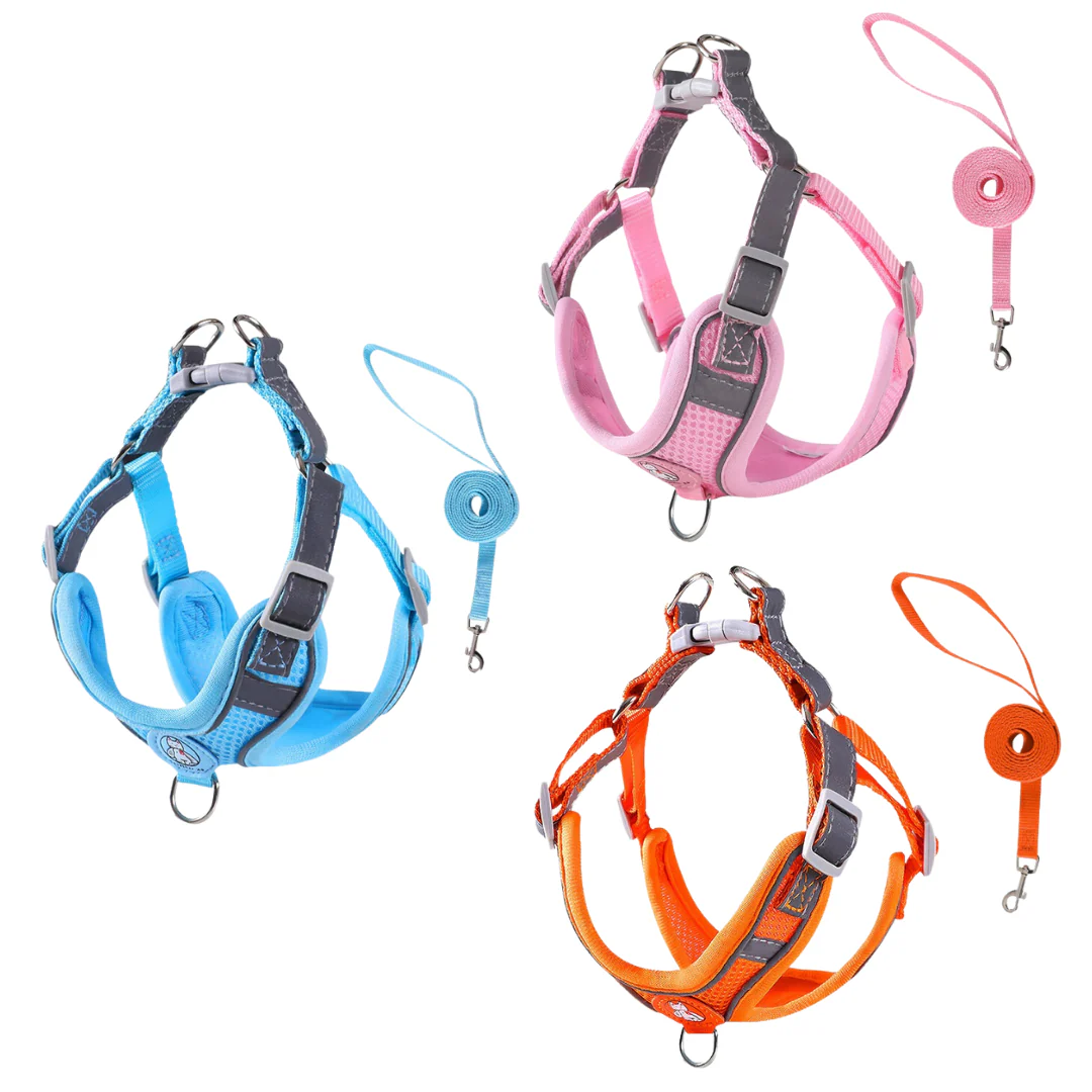 Pettorina Traspirante + Guinzaglio 3 colori per cani da 1 a 35 kg - immagine 2