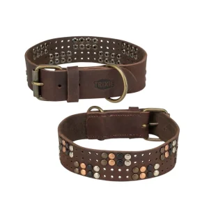 Trixie Rustic Collare in pelle Rivetti Marrone S-M 34-40cm/3cm per Cani